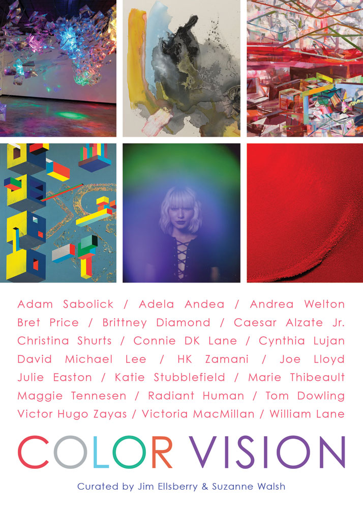 COLOR VISION Opening Reception
