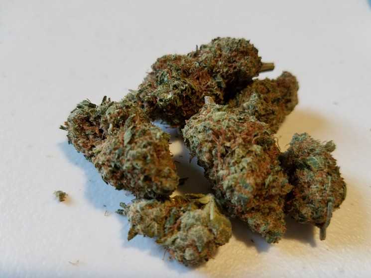 CBD Shark, Our Toke of the Week!