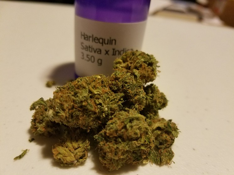 Harlequin Sativa: Our Toke of the Week!