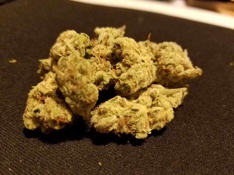 Grizzly Glue