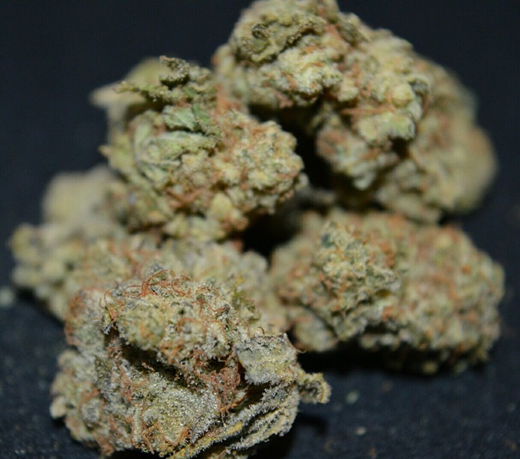 *ULTRA* Gorilla OG at South Coast Safe Access, Our Toke of the Week!