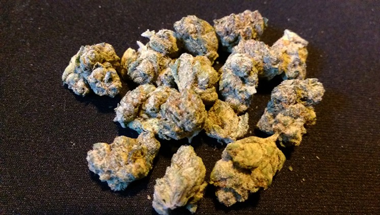Willie Nelson OG: Our Toke of the Week!